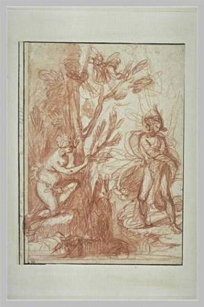 Giovanni Biliverti, Echo épiant Narcisse, 1ère moitié 17e siècle, Paris, musée du Louvre département des Arts graphiques, © Réunion des musées nationaux