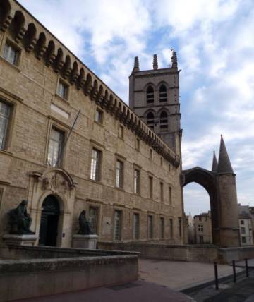 Cathédrale Saint-Pierre de Montpellier