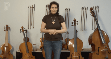 Philharmonie - handicap