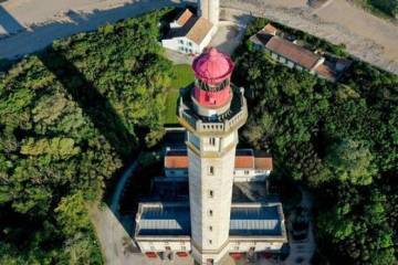 Vue du phare d'en haut, la forêt autour