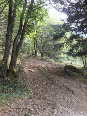 Chemin forestier menant à la carrière de lames polies au lieu-dit Finsterbach, à Saint-Amarin