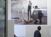 Photo 5_Histoire animale de la prison ©Arnaud Théval.jpg
