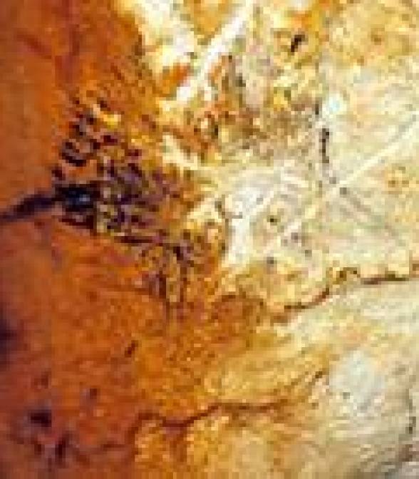 Panneau des chevaux noirs (Chv1-4), partie émergée de la grotte du Paléolithique supérieur