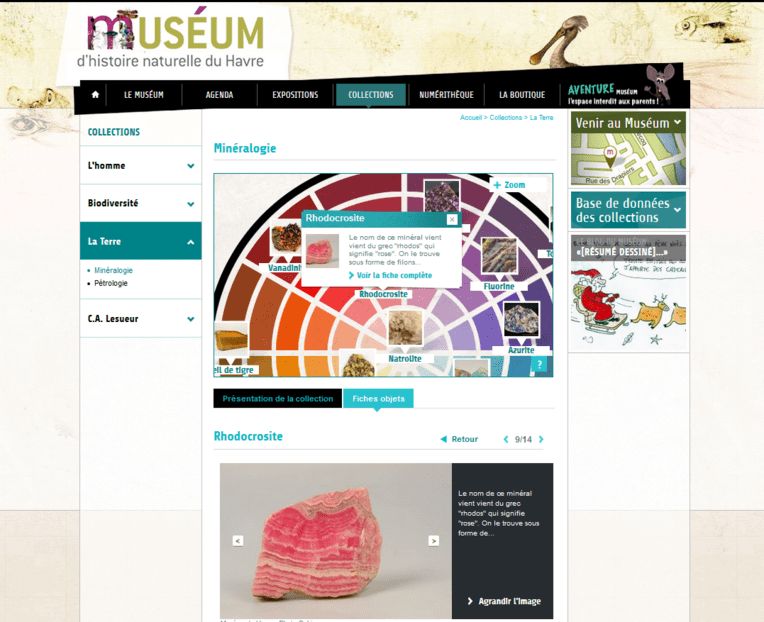 Page d'accueil du site internet du museum d'histoire naturelle du Havre