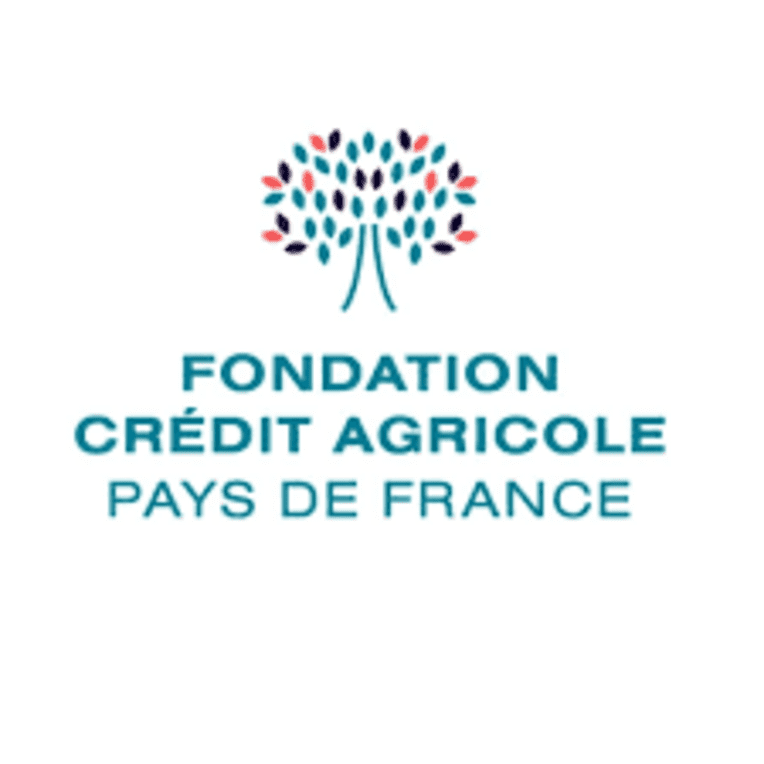 fondation pays de france.png