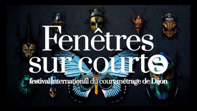 visuel_fenetres_sur_courts.jpg