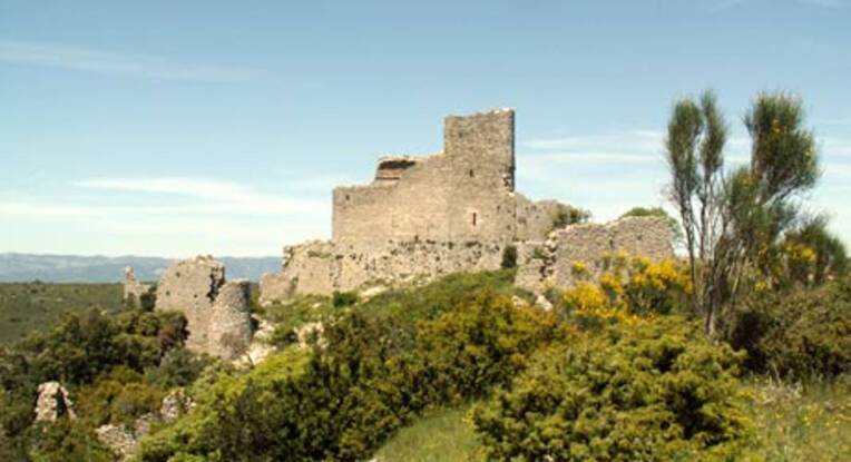 Ensemble médiéval du Castellas, vestiges du château - Aumelas