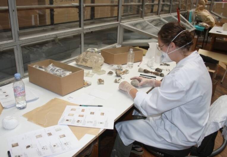 Equipe scientifique au travail © Muséum d’Histoire naturelle de Bordeaux/Hana Goodall