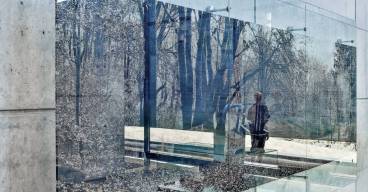 photo d'un tableau avec un reflet qui donne sur l'extérieur et une forêt