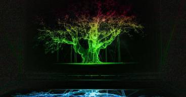 photo d'une projection sur un mur de la forme d'un arbre vert sur fond noir