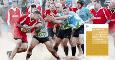 joueurs pendant un match de rugby