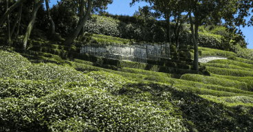 les jardins d'Etretat résidence artistes héritage érodé.png