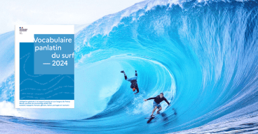 Surfeurs dans la vague