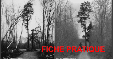 MH_ComposerAvecLaTempete_FPR_2020614.png