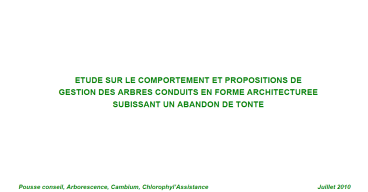 jardin - 2012 - 006 - Étude - Etude sur le comportement --- un abandon de tonte - document mère - 28 08 2012.png