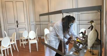 Bordeaux, museum /  Cliché mis à disposition par le musée