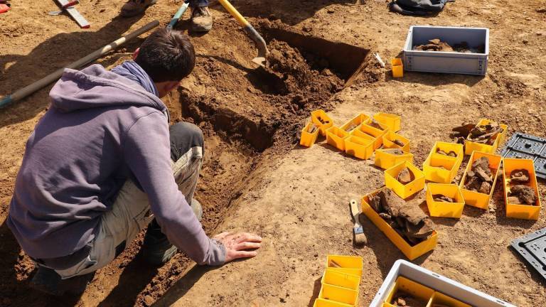 Un archéologue est accroupi dans un petit fossés en V. Il fouille à la truelle et dépose ses découvertes dans de petites boîtes en plastique jaune.