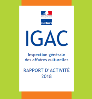 Rapport d'activité 2018 de l'IGAC.png
