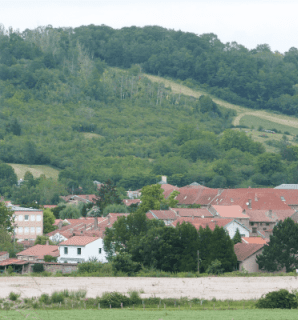 Vue sur la commune de Vic-sur-Seille