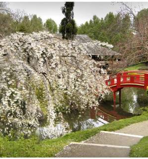 Jardin japonais, Toulouse