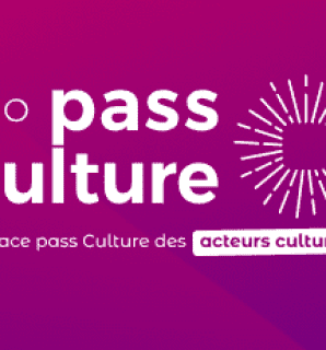 Pass culture pro 2.png