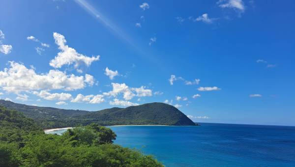 Photographie d'un paysage : collines arborées qui tombent dans la mer, plage de sable, ciel bleu.
