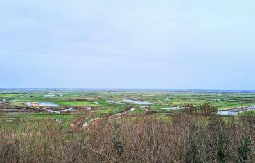 20240208_101259.jpg