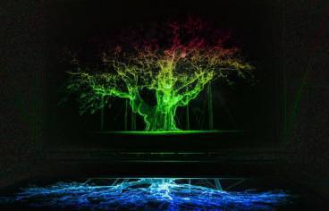 photo d'une projection sur un mur de la forme d'un arbre vert sur fond noir
