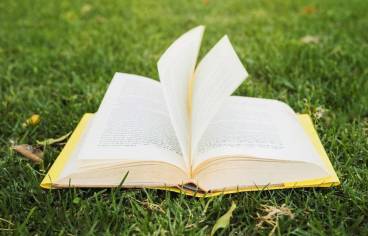 Livre à la couverture jaune ouvert sur une pelouse.