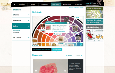 Page d'accueil du site internet du museum d'histoire naturelle du Havre