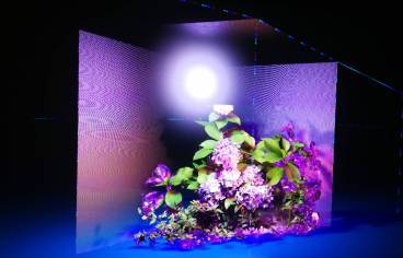 Image de l'exposition Aurae de Sabrina Ratté à la Gaité Lyrique