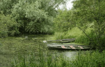 Préservation du site classé du Marais poitevin