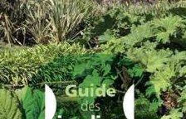 1ercouverture.JPG