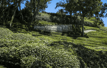 les jardins d'Etretat résidence artistes héritage érodé.png