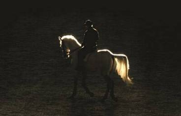 L’Équitation de Tradition Française