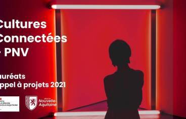 Affiche présentant la silhouette d'une femme sur un fond rouge éclairé par des néons