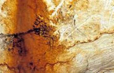 Panneau des chevaux noirs (Chv1-4), partie émergée de la grotte du Paléolithique supérieur