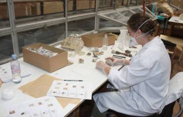 Equipe scientifique au travail © Muséum d’Histoire naturelle de Bordeaux/Hana Goodall