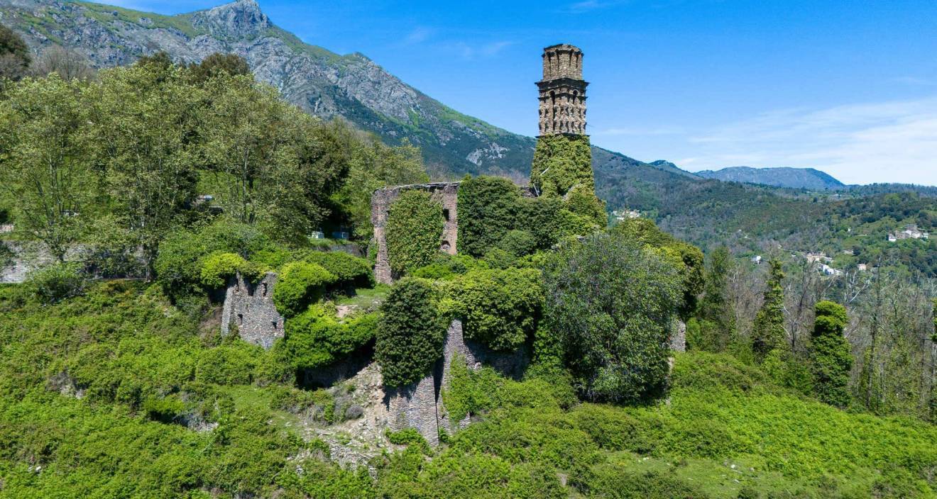photo d'un couvent dans un paysage de montagne. le couvent est en ruine, recouvert par des arbres et de la végétation