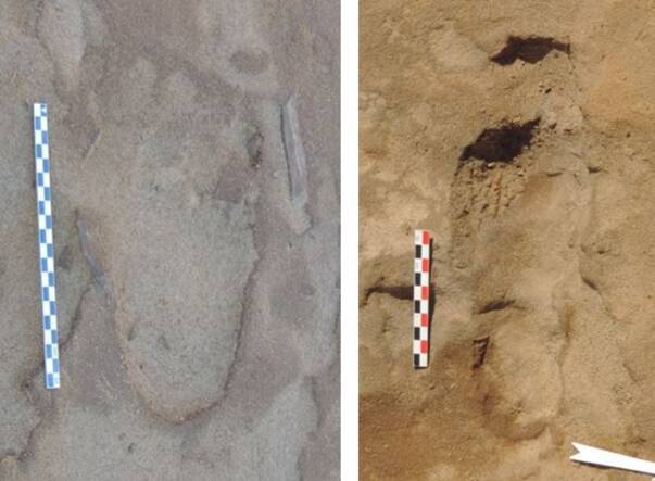 Découverte de 257 empreintes de pas de Néandertaliens - Sciences