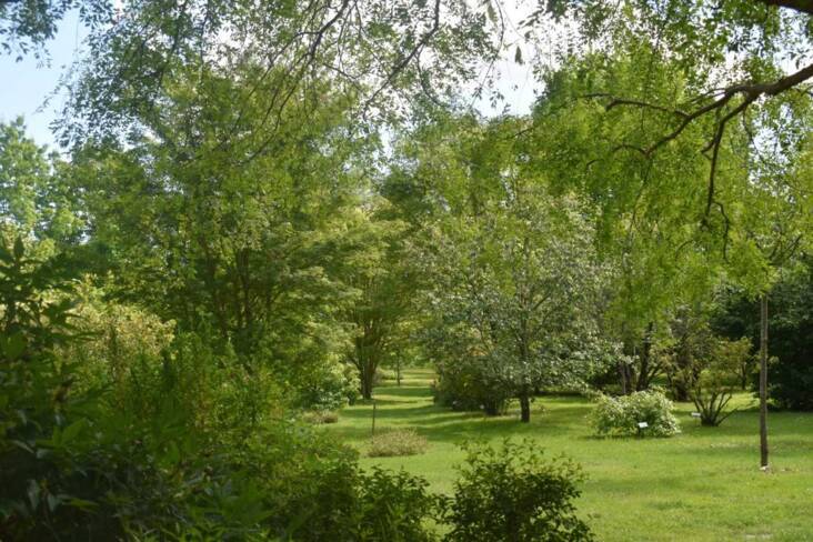 (18) La Chapelle Montlinard : arboretum Adeline