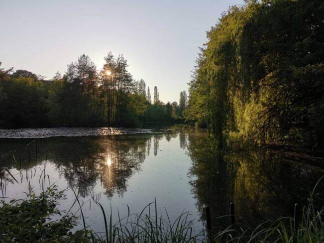 (37) Veigné : arboretum de la Martinière