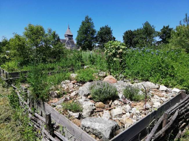 (36) Saint Marcel : jardin romain d'Argentomagus