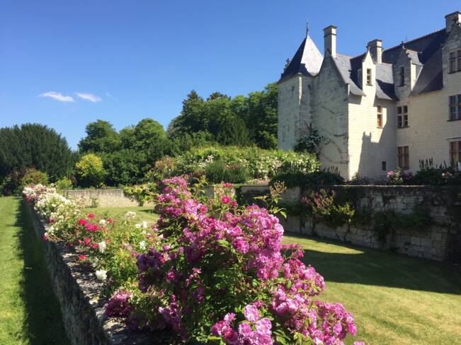 (37) Lémeré : Jardins du Rivau