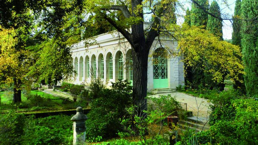 34_Montpellier_Jardin_plantes.tif.jpg