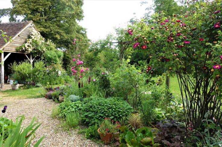 (28) Senonches : jardin de Maïzé