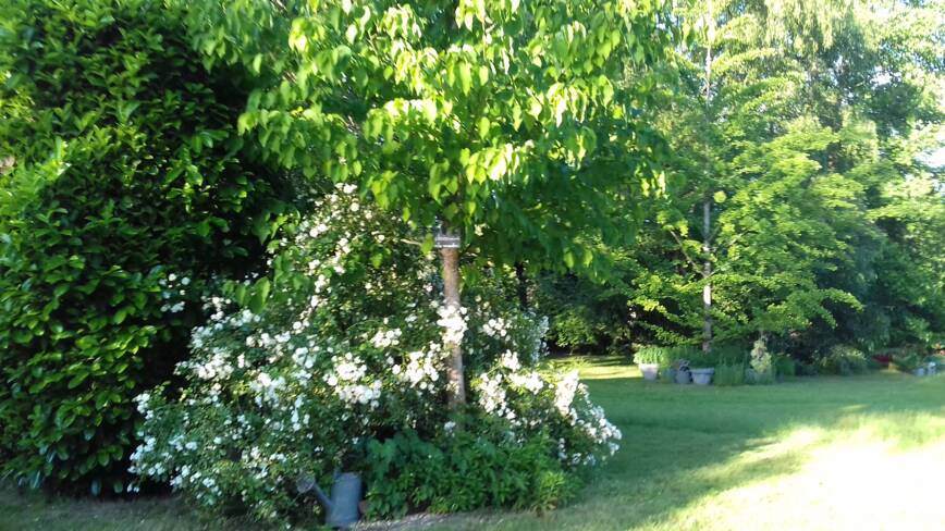 (18) Aubigny sur Nère : Le Buisson de la Gariole