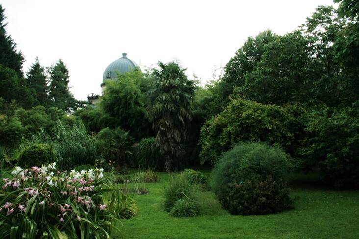 Le jardin botanique de l'Université de Strasbourg 