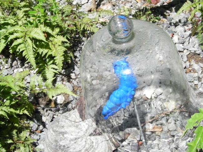 Le jardin bleu d'Absolem 