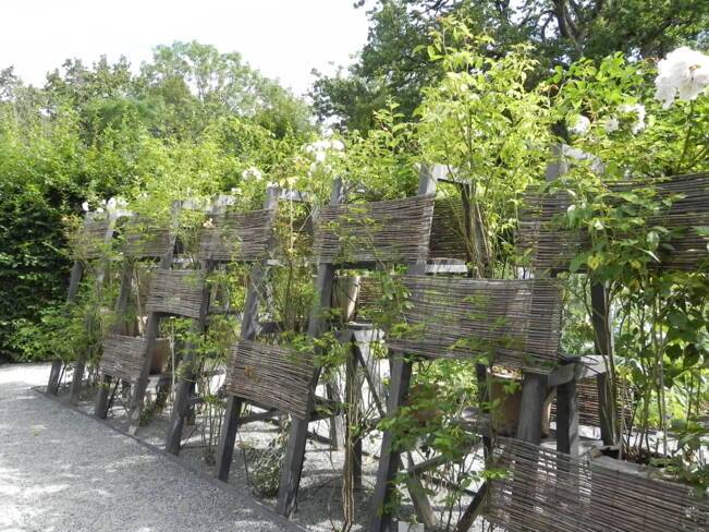 « Thornrose »
